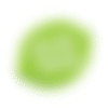 HelloFresh logo