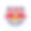 Red Bull New York logo