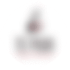 Te Puia logo
