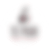 Te Puia logo