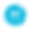 SAFE logo