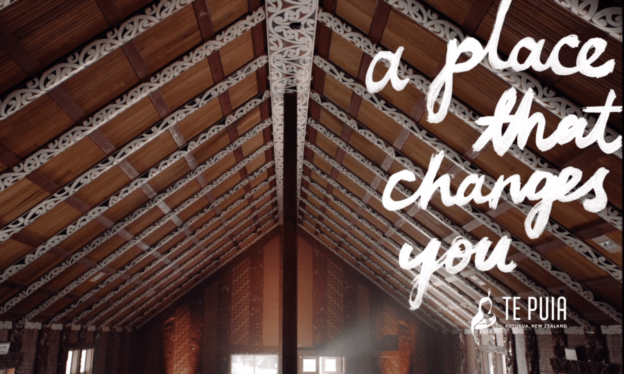 Te Puia A Place That Changes You - Wharenui