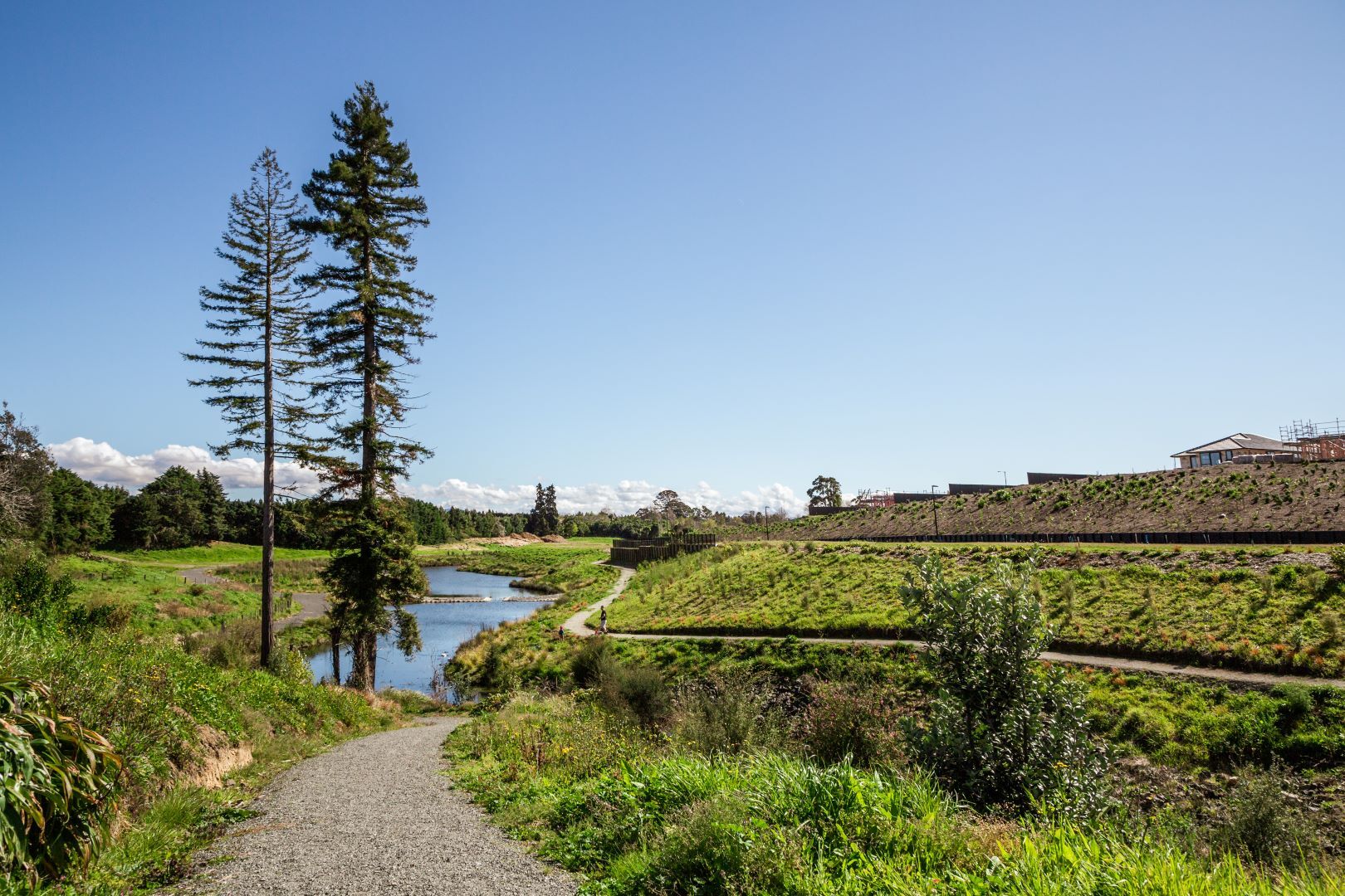 Kaimai Views  Bridle Way 