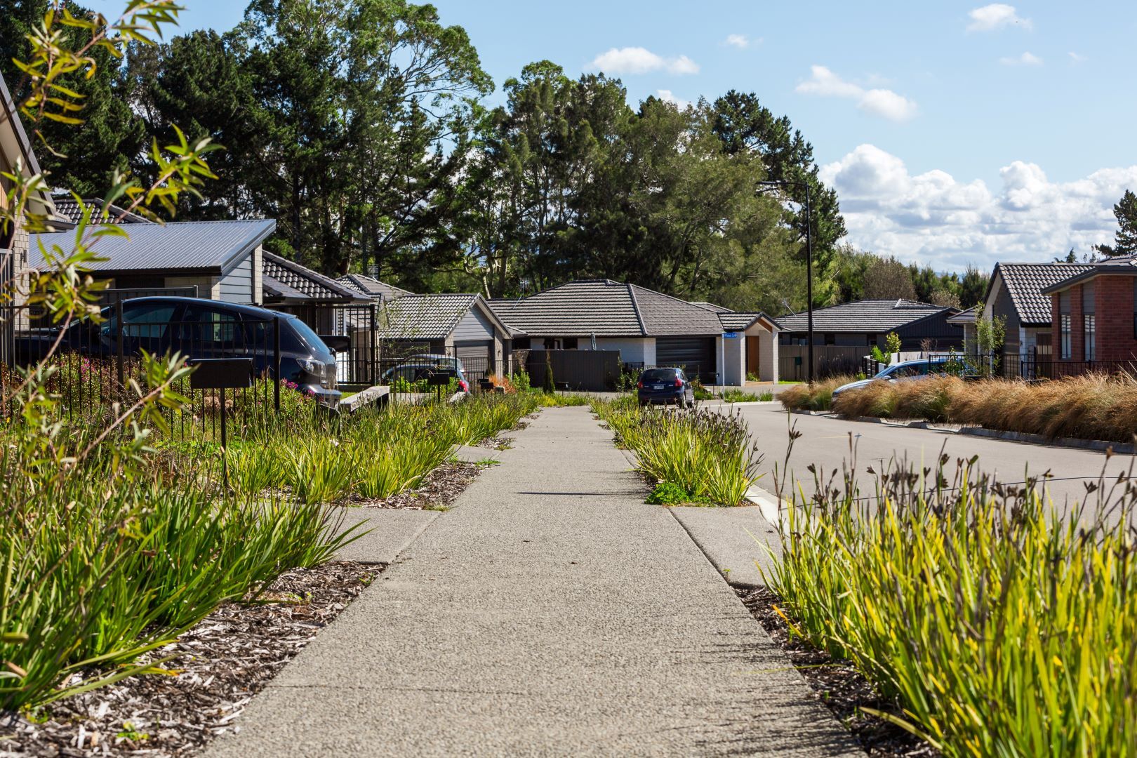 Kaimai Views  Bridle Way 