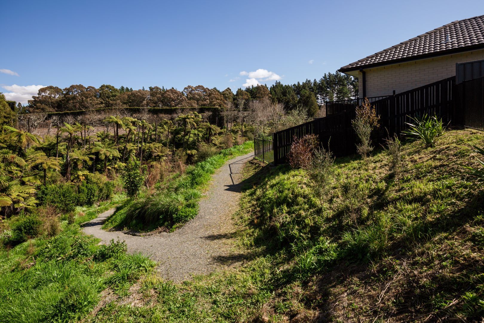 Kaimai Views  Bridle Way 