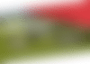 wool carpet promotion banner