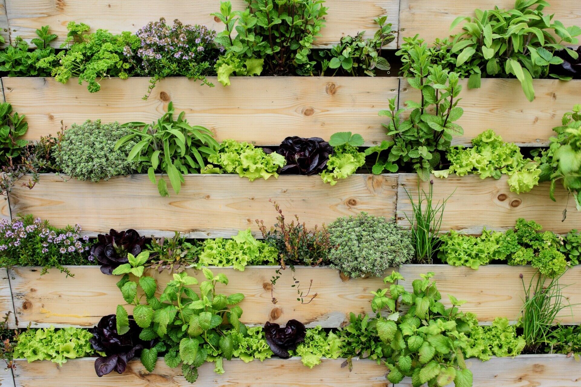 Vertical garden