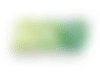 BKT Logo