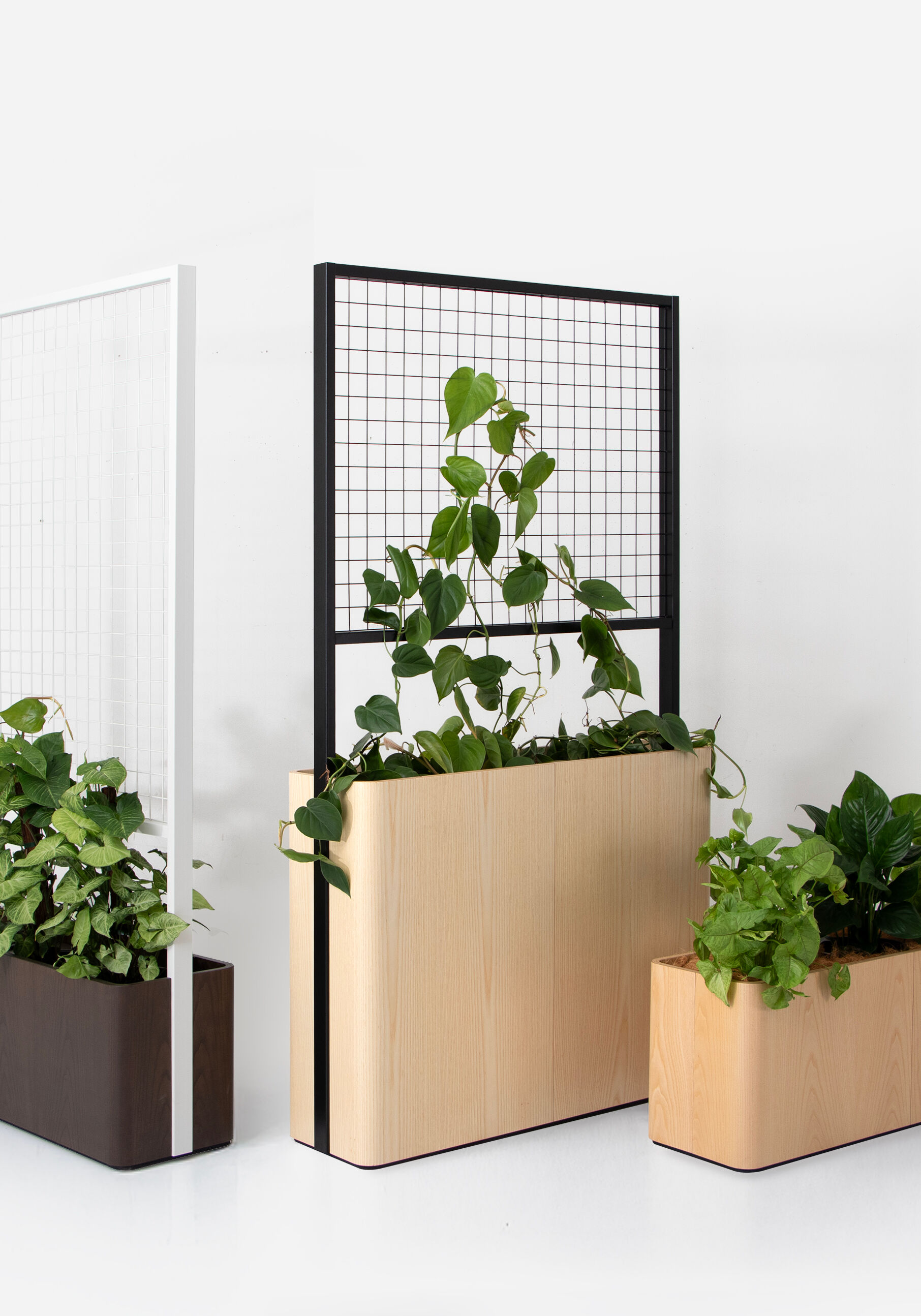 Relate Planter and Climber group