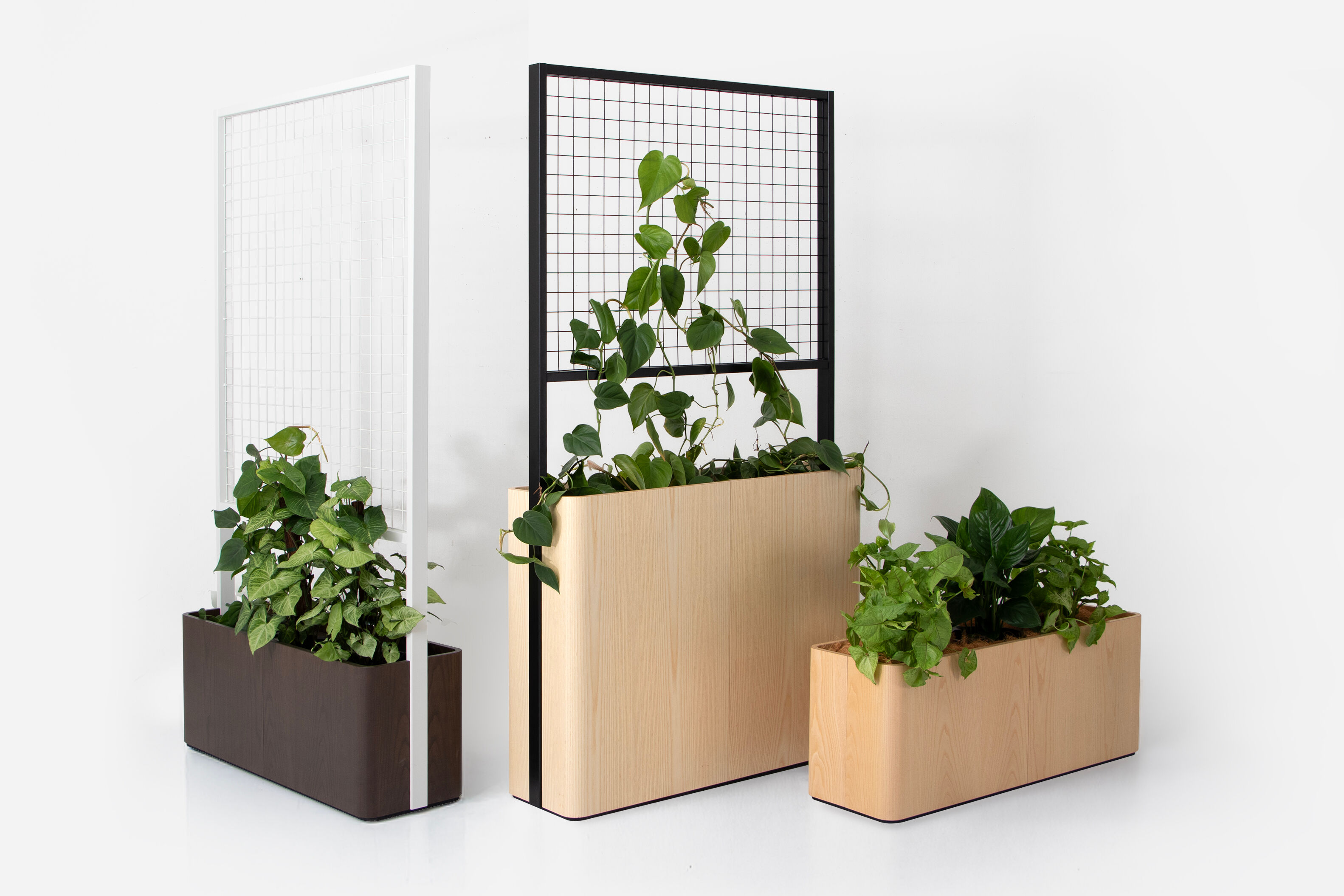 Relate Planter and Climber group