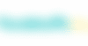 FSNI