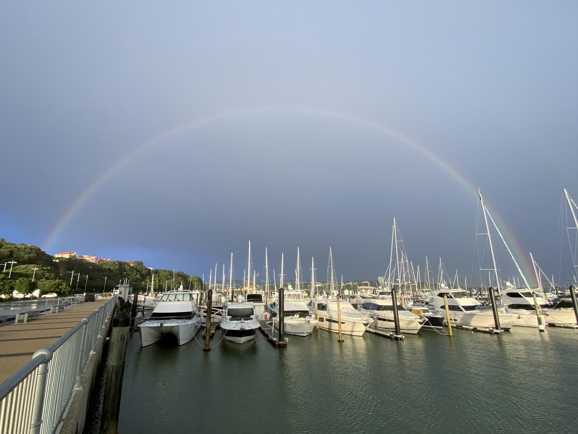 Marina rainbow