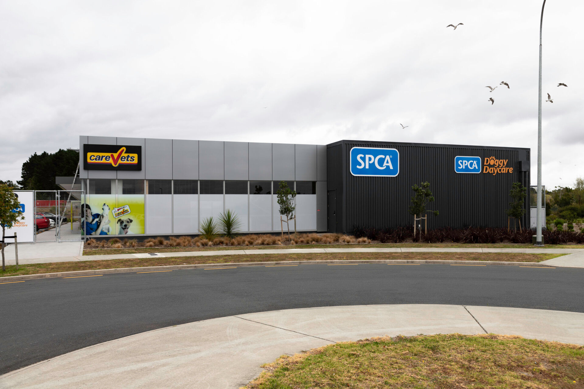 SPCA Hobsonville