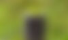 AdobeStock 