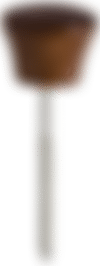 ts hy