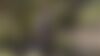  deafadefbcefaeffedaeabfafdda d ?region=us